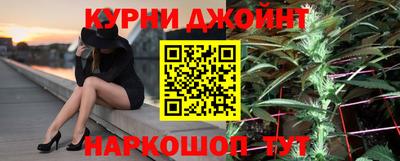 индика Будённовск