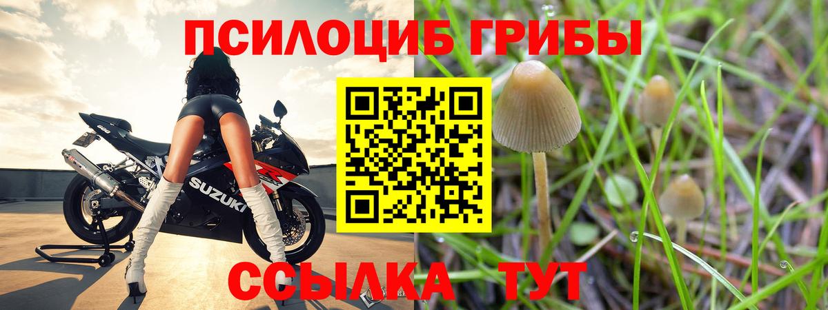 магазин    Вход с VPN  Фрязино  Галлюциногенные грибы GOLDEN TEACHER 