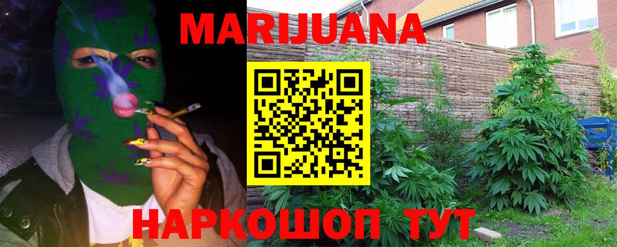 Фрязино  МАРИХУАНА конопля  Вход с VPN  Бошки марихуана конопля  МАРИХУАНА сатива 